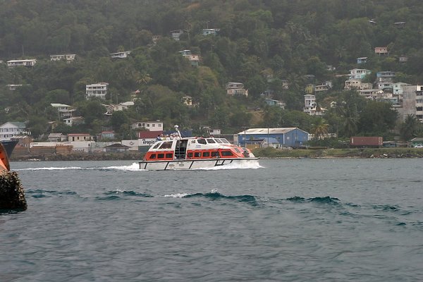 IMG 7053.sized